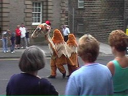 Camel