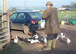 Ken feeds the ducks